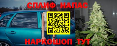 прущие грибы Старая Купавна