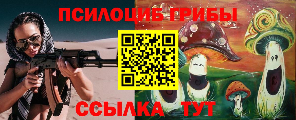 Острогожск  Псилоцибиновые грибы Psilocybine cubensis  Вход с VPN 